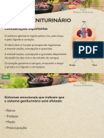 Apostila+SOS+planta+medicinais+-+sistema+geniturina Rio