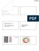 Ciclo Celular e Mitose