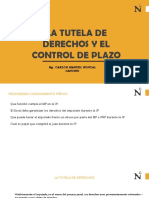Tutela, Control y Coercion UPN - DIAPOS COMPLEMENTARIO