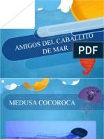 Los Amigos de Caballito de Mar