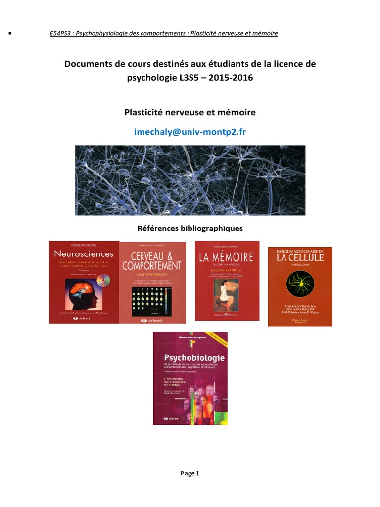 Plasticité nerveuse et mémoire en psychologie | PDF | Potentialisation ...