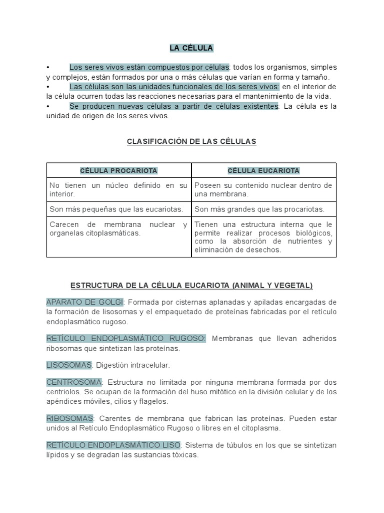 Estructura y Tipos de Células | PDF | Biología Celular) | Citoplasma