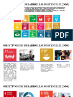 Objetivos de Desarrollo Sostenible (Ods)