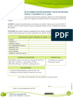 Instrumento Auditoria CPHS DS 54 (7)