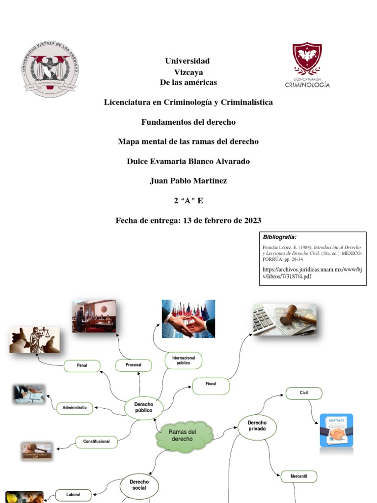 Mapa Mental de Las Ramas Del Derecho | PDF