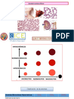 ANEMIAS Normociticas