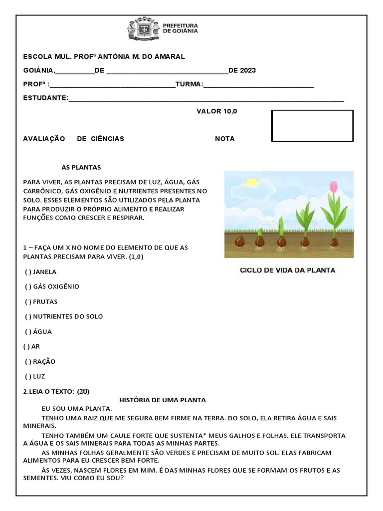 Avaliação de Ciências: Plantas 2º Ano | PDF | Plantas | Semente