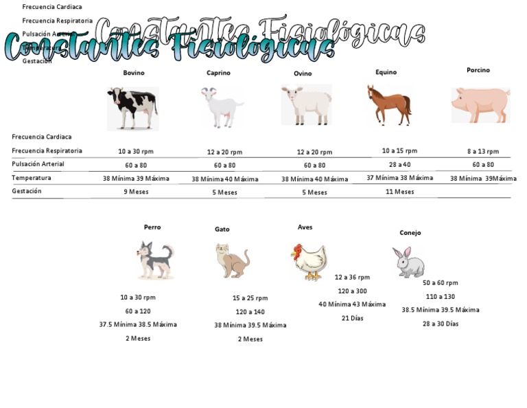 Bovino Caprino Ovino Equino Porcino PDF
