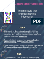 DNA STRUCTURE and FUNCTION