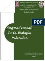 Dogma Central De la Biología Molecular