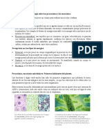 Teoria Examen de Biologia Procariotas y Eucariotas