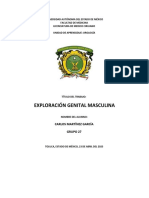 Exploración Genital Masculina