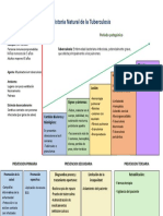 Historia Natural de La Tuberculosis