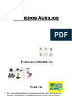 Primeros Auxilios - C9 - Picaduras y Mordeduras