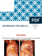 Anatopato I - C22 - Pericarditis
