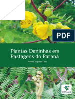 L17 Plantas Daninhas em Pastagens 01 07 2022