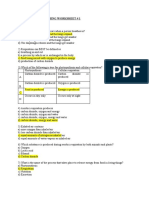 Worksheet 1 Respiration and Breathing Answers