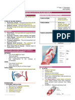 AP10 Cardio Blood Vessels