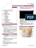 AP05 Nervous System