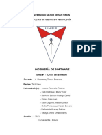 Desarrollo de La Crisis Del SW INFORME y PRESENTACION