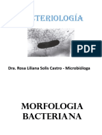 Bacterio Log I A e Structur A Bacterian A