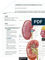 Glomerulonefritis