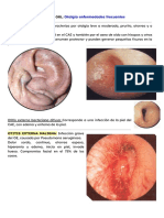 Prueba Orl Imagen