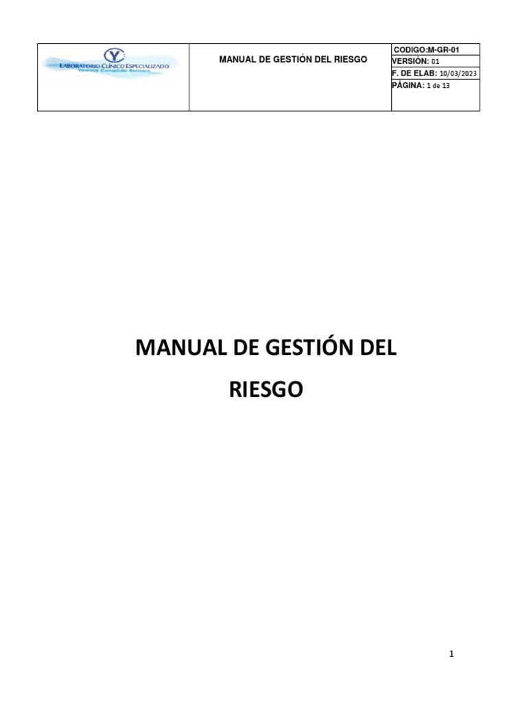 Manual Sistema Gestion de Riesgos | PDF | Riesgo | Inteligencia artificial