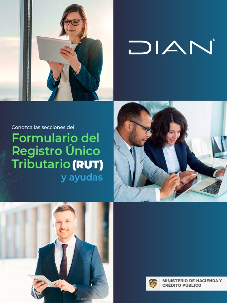 Secciones del Formulario RUT | PDF | Business | Informática