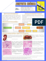 Pielonefritis Crónica: I Ntroducción C Aracterísticas