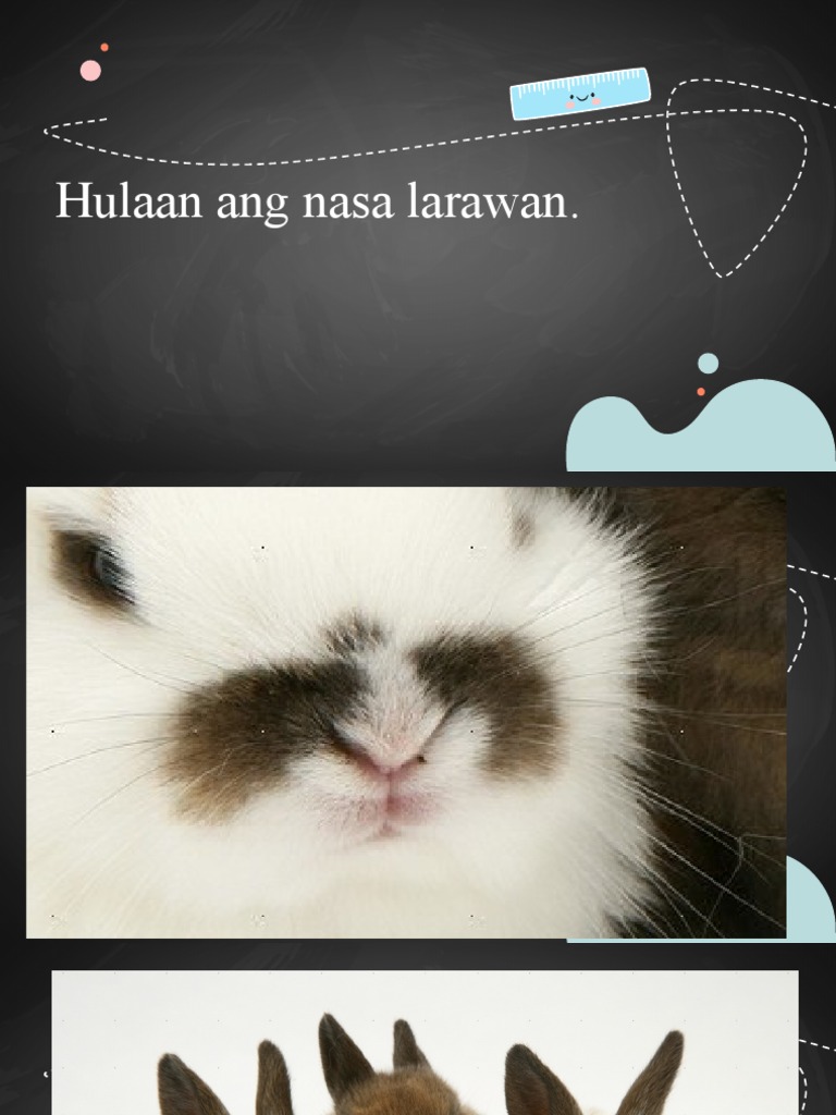 Ang Hatol NG Kuneho | PDF