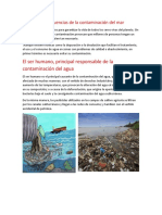 Causas y Consecuencias de La Contaminación Del Mar