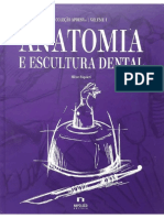 Anatomia y Escultura Dental Hilton Riquieri Compress