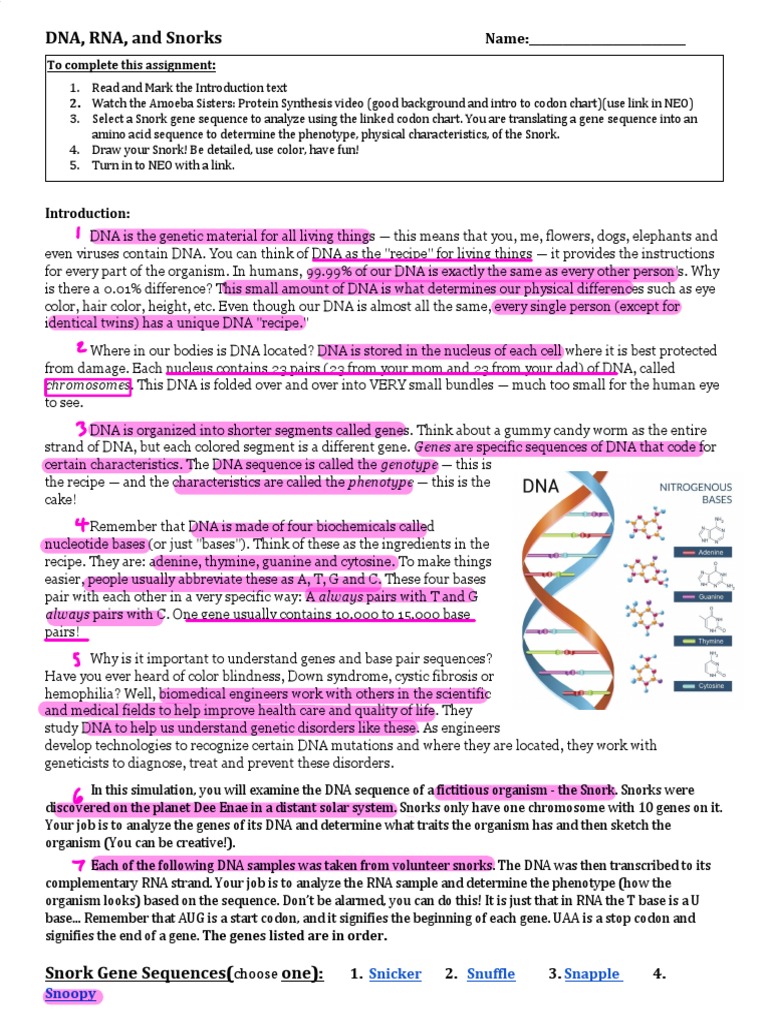 DNA, RNA and SnorksRemote Ulv Download Free PDF Dna Gene