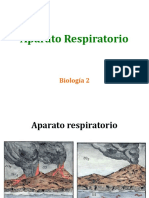 El Aparato Respiratorio Biología 2