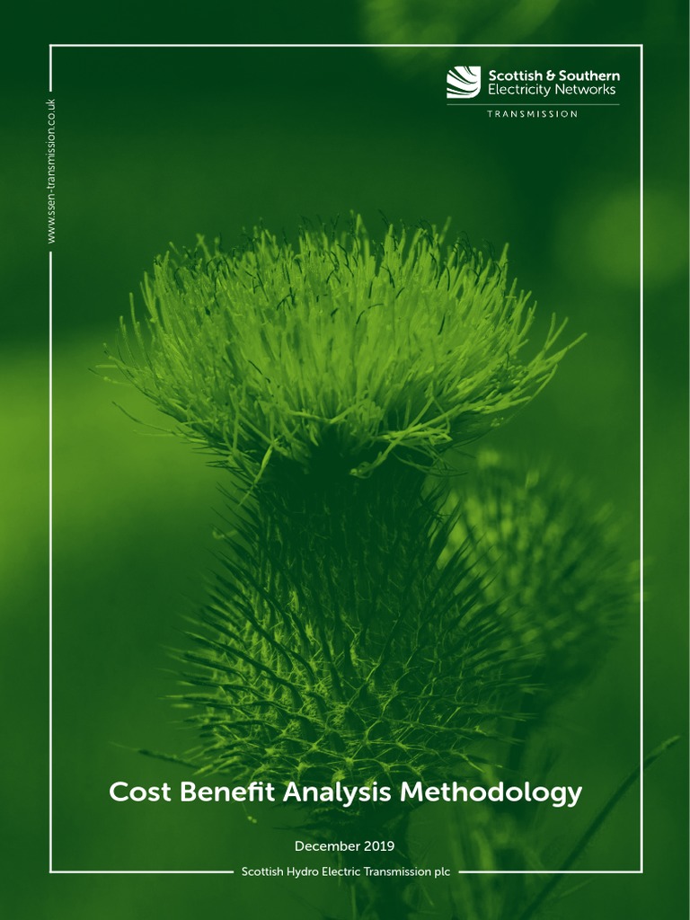 Cost Benefit Analysis Framework Guide | PDF | Cost–Benefit Analysis ...