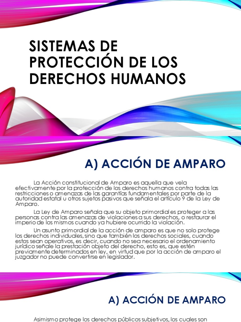 Sistemas de Protección de Los Derechos Humanos | PDF | Habeas corpus ...