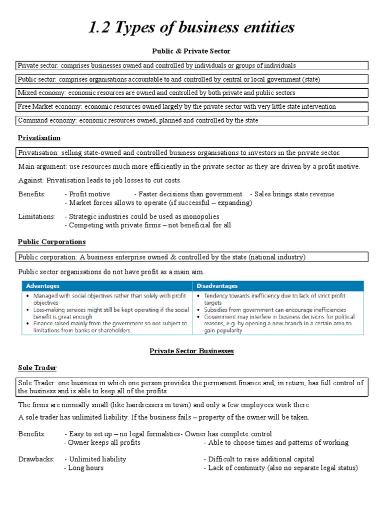 Types of Business Entities Explained | PDF