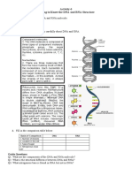 Activity 6 DNA RNA