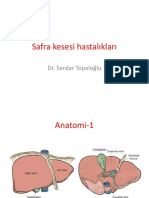 3.safra Kesesi Ve Safra Yollar Hastalklar