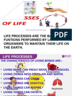 Life Processes Presentation