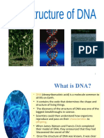 DNA JA New