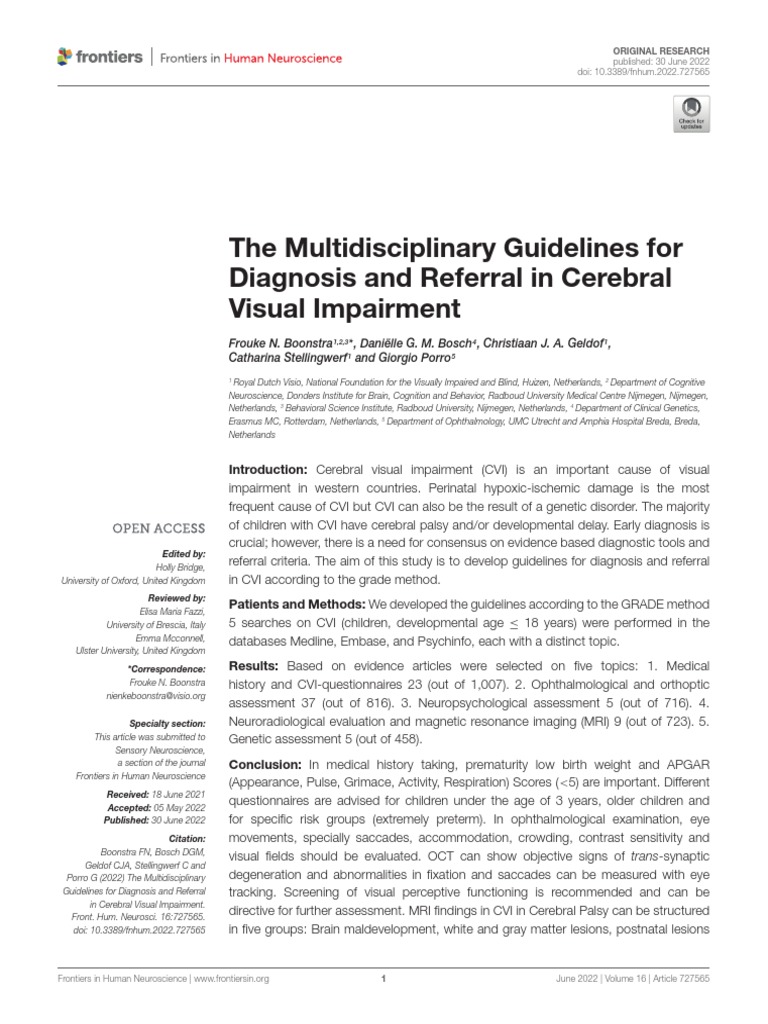 Guidelines for Cerebral Visual Impairment | PDF | Medical Diagnosis ...