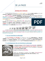 4.3 - Organogenèse de La Face (Cours)