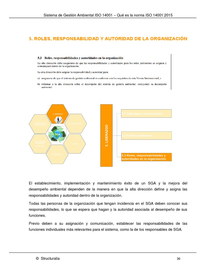 Roles y Responsabilidades en el SGA | PDF | Negocios económicos | Economias