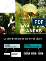 Las Plantas y Su Clasificacic3b3n Algas Musgos y Helechos