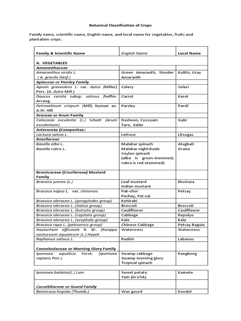 Botanical Classification of Crops | PDF | Broccoli | Green Bean