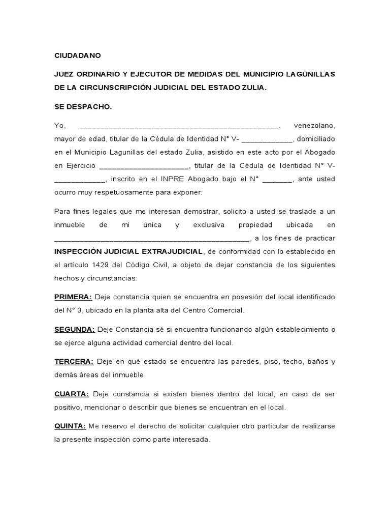 modelo-de-inspecci-n-judicial-pdf