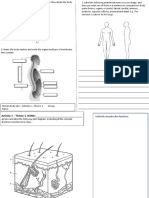 Worksheets TOPRINT HBC