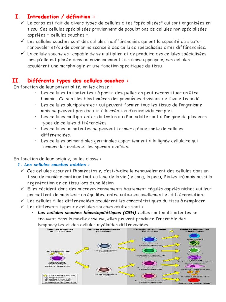 Types et thérapies des cellules souches | PDF | Cellule souche ...
